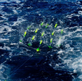 Bluewing 36” Yellow/Green Teaser – Spreader Bar Canyon
