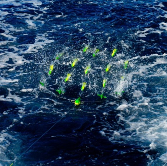 Bluewing 36” Yellow/Green Teaser – Spreader Bar Canyon
