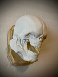 Doom Eternal Hell Knight Inspired Wall Trophy Lamp – 3D Printed LED Gaming Decor