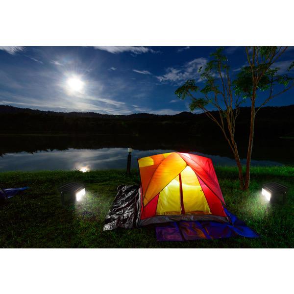 RELAXN LED Solar Smart Sensor Flood Light - 5W