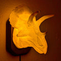 Triceratops Wall Trophy Lamp – 3D Printed LED Dinosaur Decor